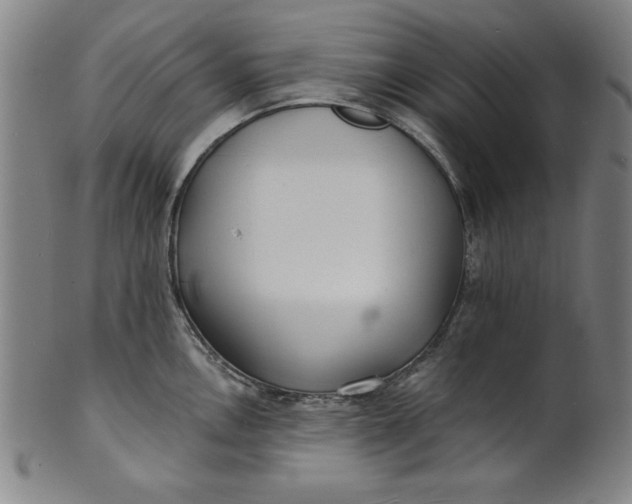 X0000101471146200807211331