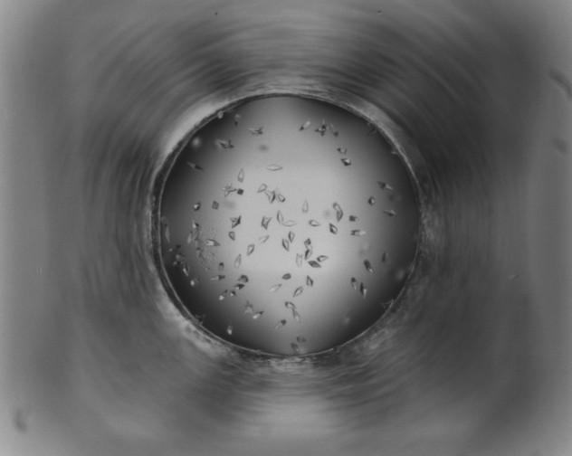 X0000101471147200807211331