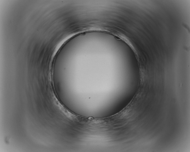 X0000101471148200807211331