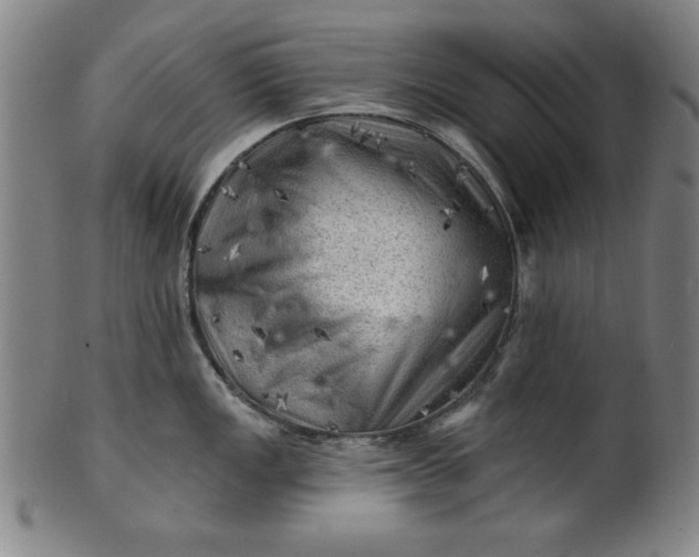 X0000101471149200807211331