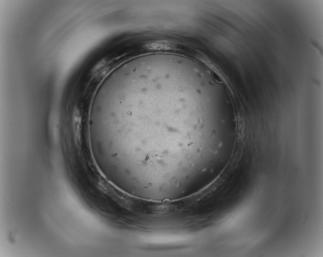 X0000101471151200807211331