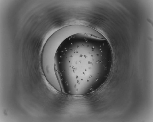 X0000101471152200807211331