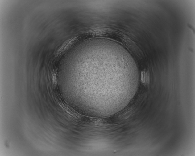 X0000101471155200807211330