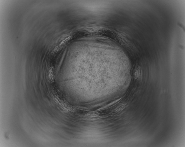 X0000101471156200807211330