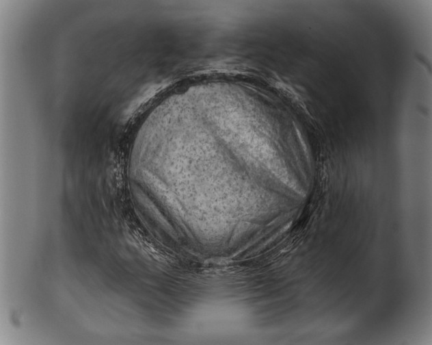 X0000101471159200807211330