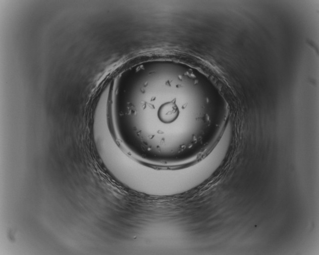 X0000101471160200807211330