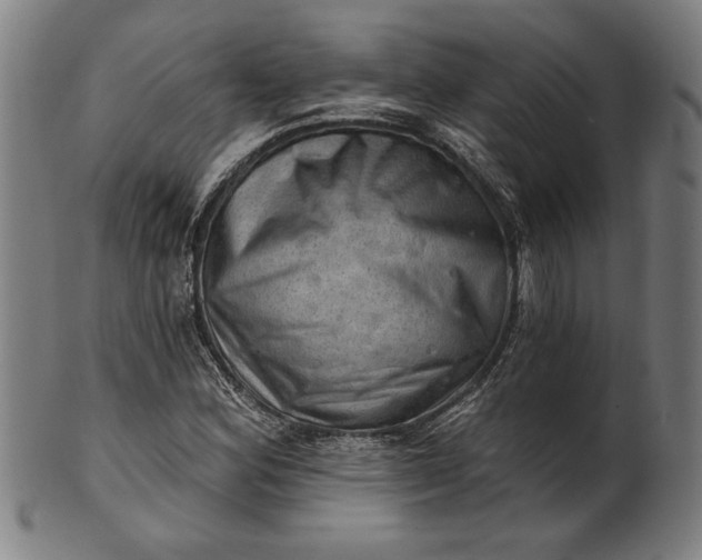 X0000101471164200807211330