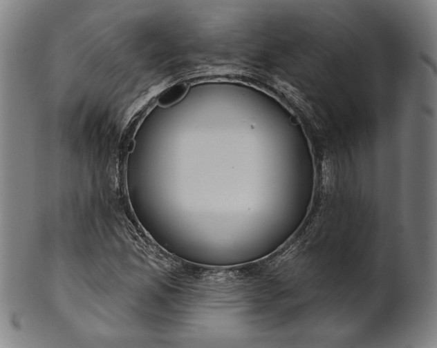 X0000101471165200807211330