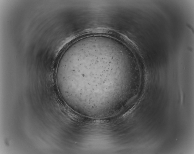 X0000101471166200807211330