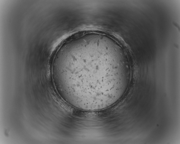 X0000101471167200807211330