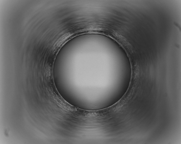 X0000101471169200807211330