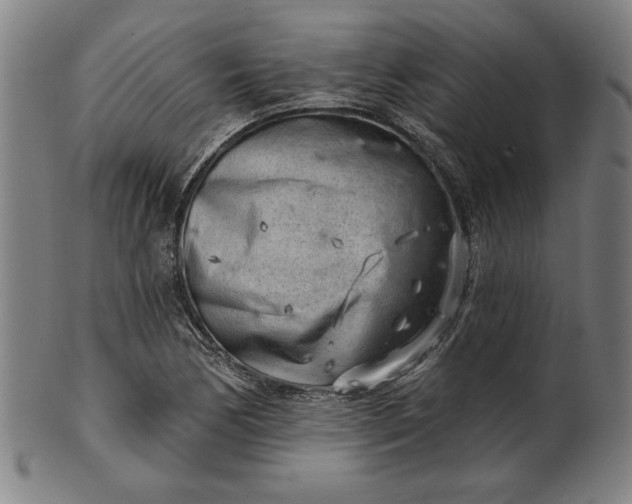 X0000101471170200807211330