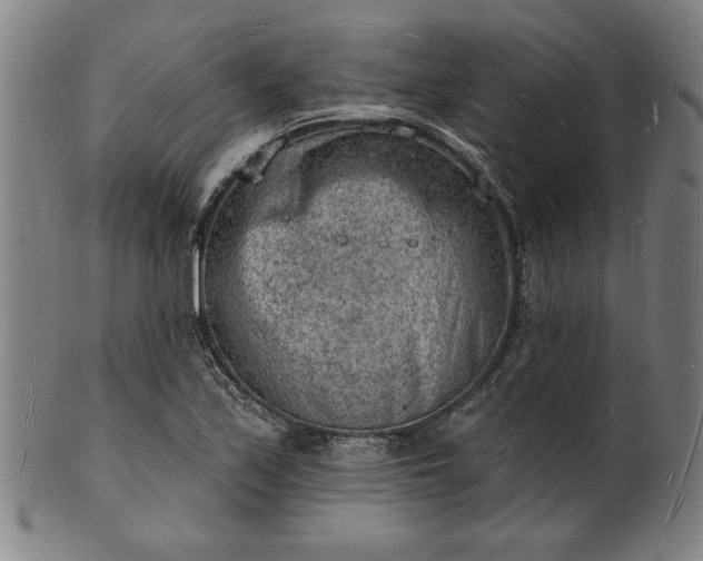 X0000101471171200807211330