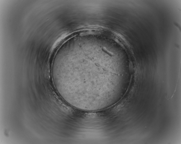 X0000101471172200807211330