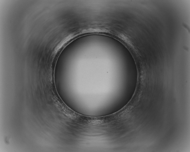 X0000101471173200807211330