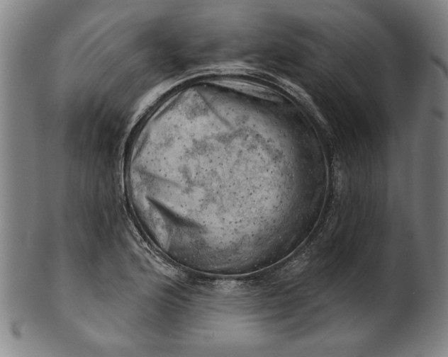 X0000101471176200807211330