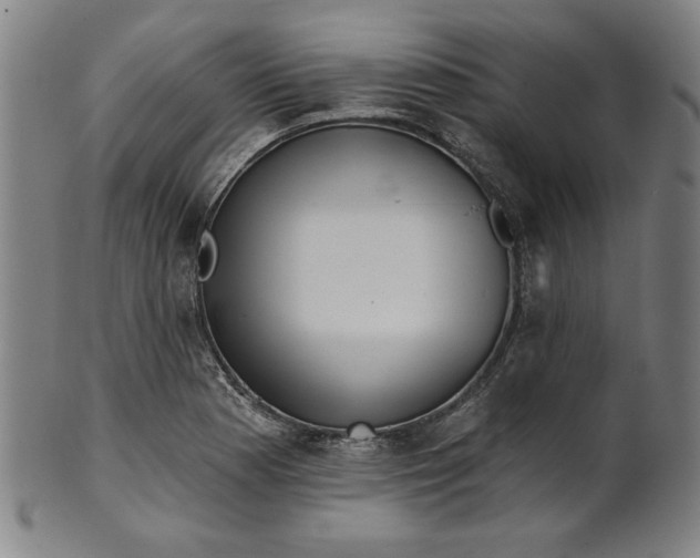 X0000101471177200807211330