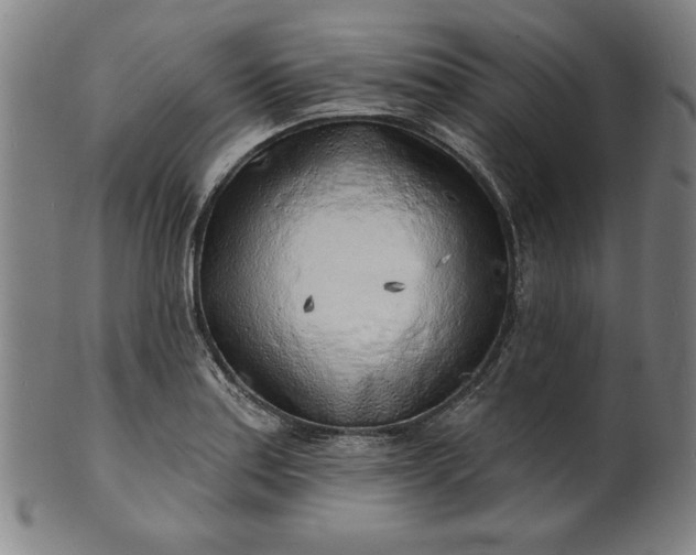 X0000101471179200807211330