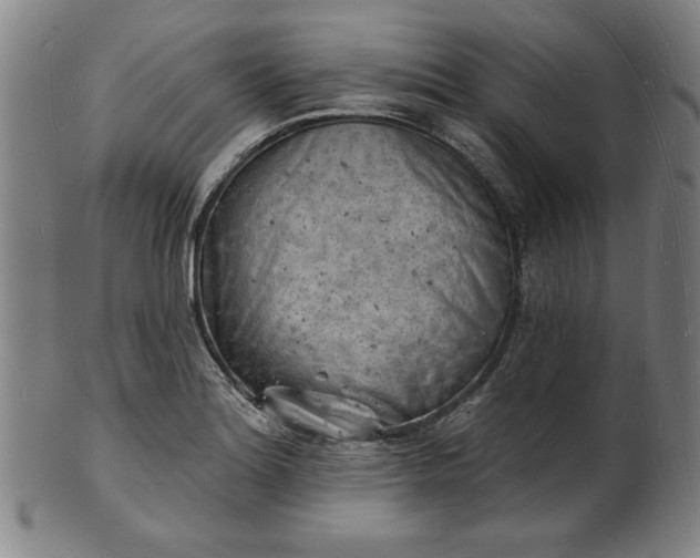 X0000101471180200807211330