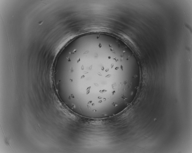 X0000101471182200807211330