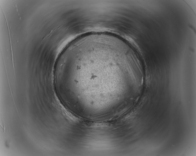 X0000101471183200807211330