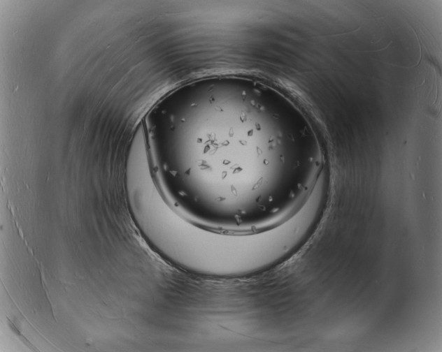 X0000101471185200807211330