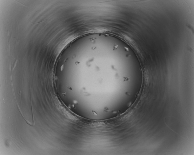 X0000101471186200807211330