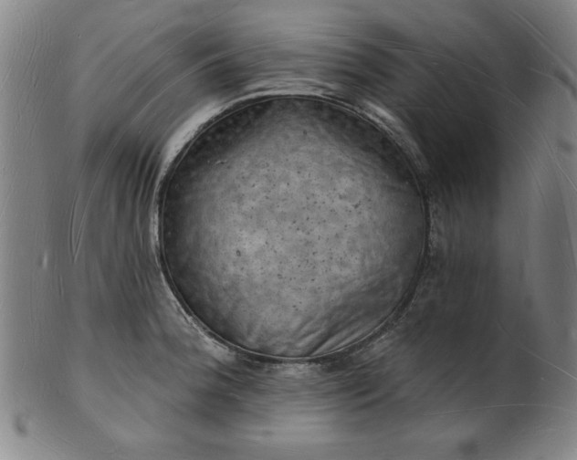 X0000101471188200807211330