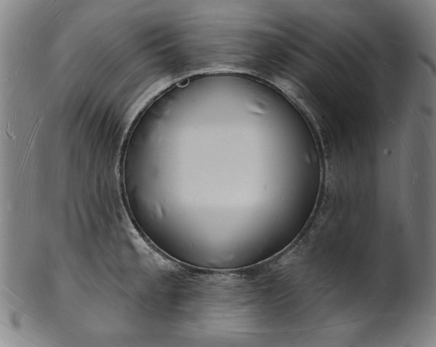 X0000101471189200807211330