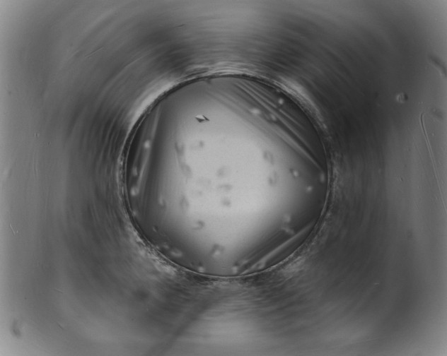 X0000101471190200807211330