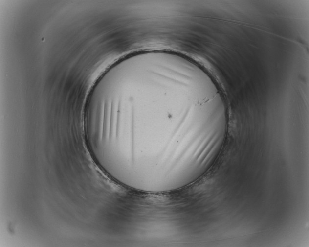 X0000101471191200807211330