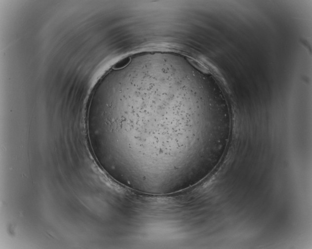 X0000101471192200807211330