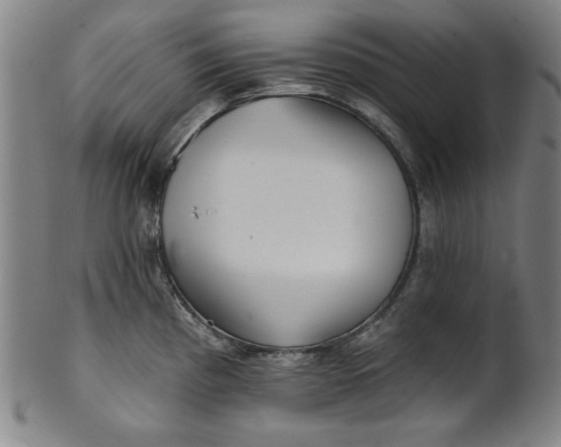 X0000101471193200807211330