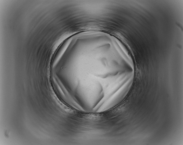 X0000101471195200807211330