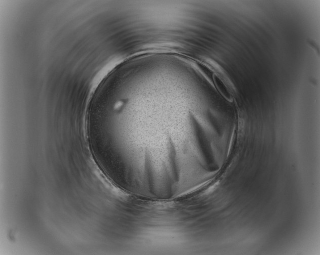 X0000101471196200807211330