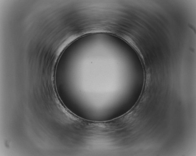 X0000101471197200807211330