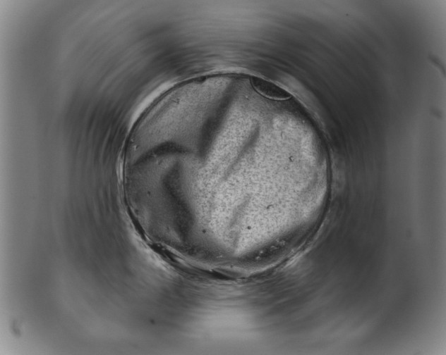 X0000101471198200807211330