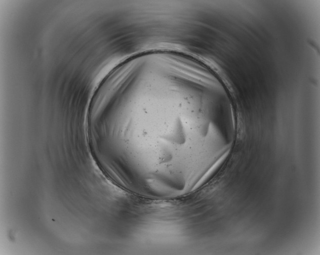 X0000101471199200807211330