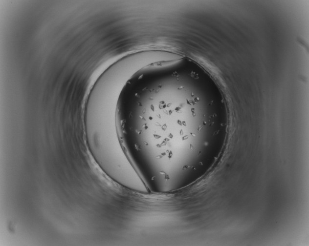 X0000101471200200807211330