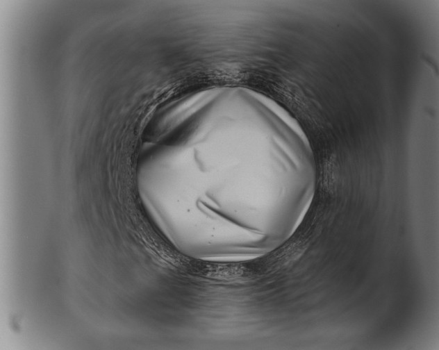 X0000101471201200807211329