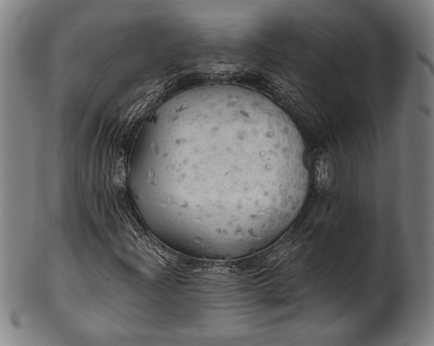 X0000101471204200807211329