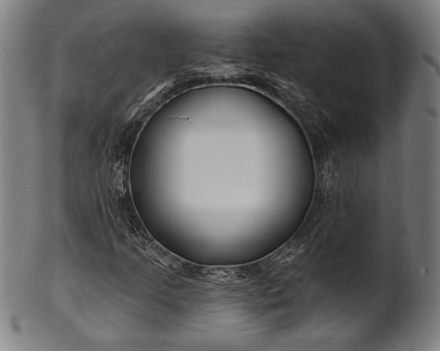 X0000101471205200807211329