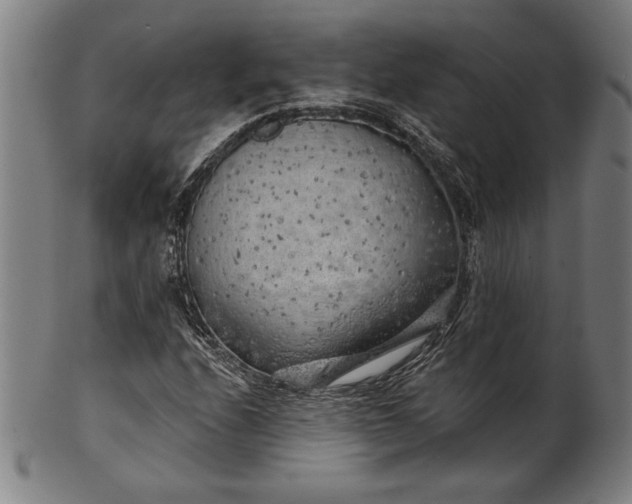 X0000101471208200807211329