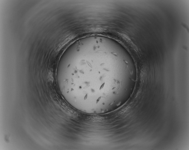 X0000101471209200807211329