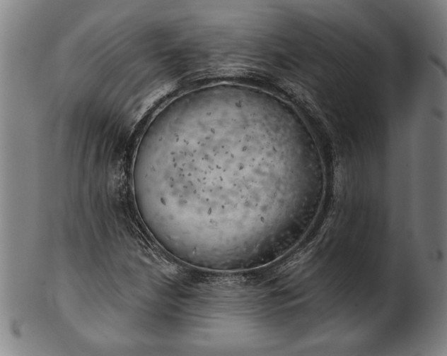 X0000101471210200807211329