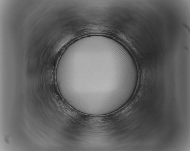 X0000101471211200807211329