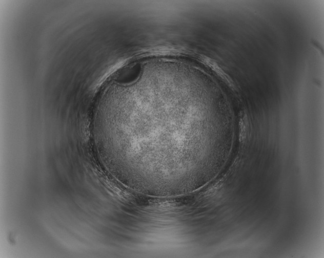 X0000101471213200807211329