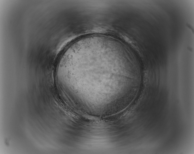 X0000101471214200807211329