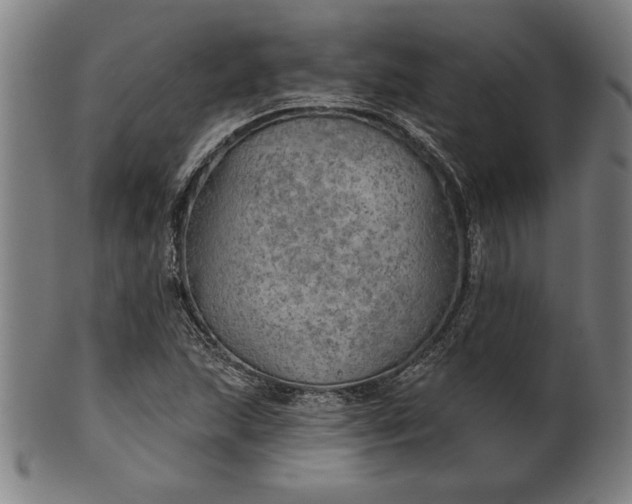 X0000101471215200807211329