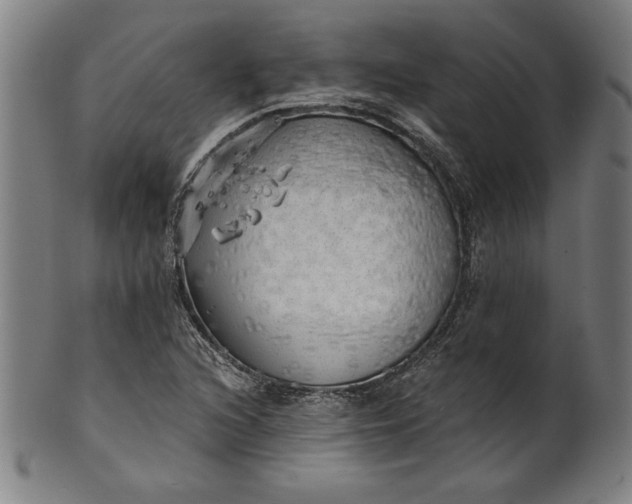 X0000101471216200807211329